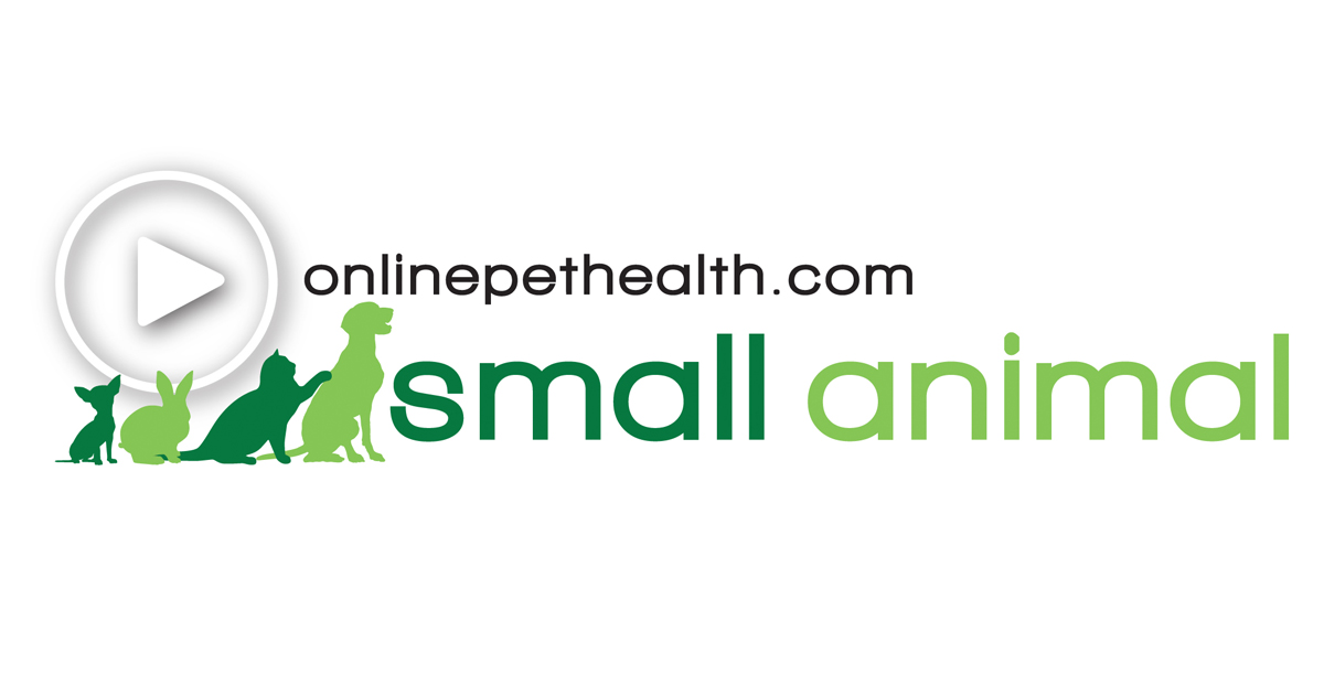 Onlinepethealth Small Animal Feature Image Logo