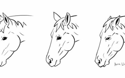 Putting a Number on Pain: Quantifying and Recognising Pain in Equine Rehabilitation