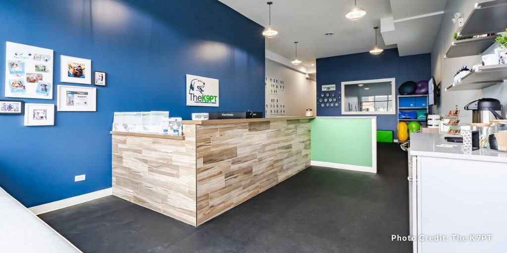 Opening Multiple Branches of Your Vet Rehab Practice