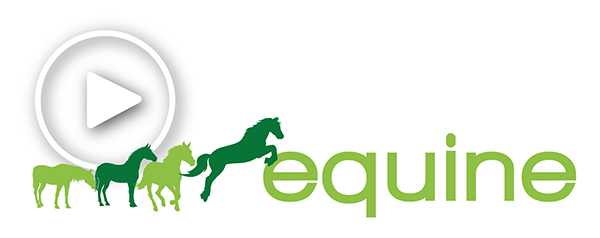 Onlinpethealth Equine Logo