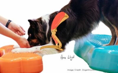 Canine Elbow: Anatomy and Biomechanics