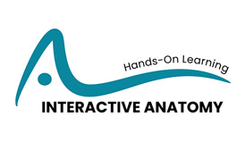 Interactive Anatomy