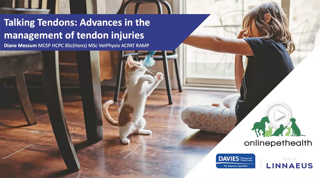 An Evidence-Based Approach to CCLR Rehabilitation