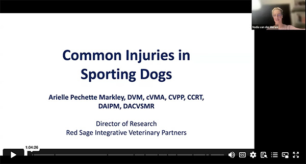 An Evidence-Based Approach to CCLR Rehabilitation