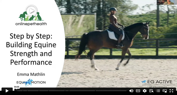 The Horse Hoof Connection