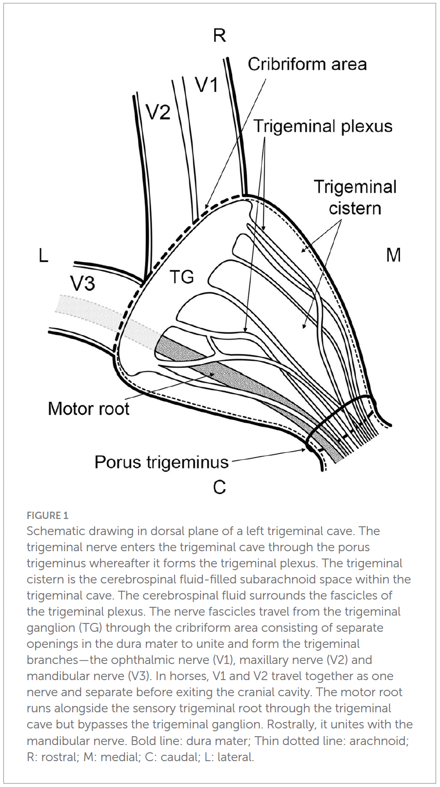 Becker et al., 2024